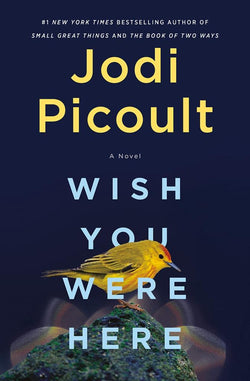 Wish You Were Here by Jodi Picoult