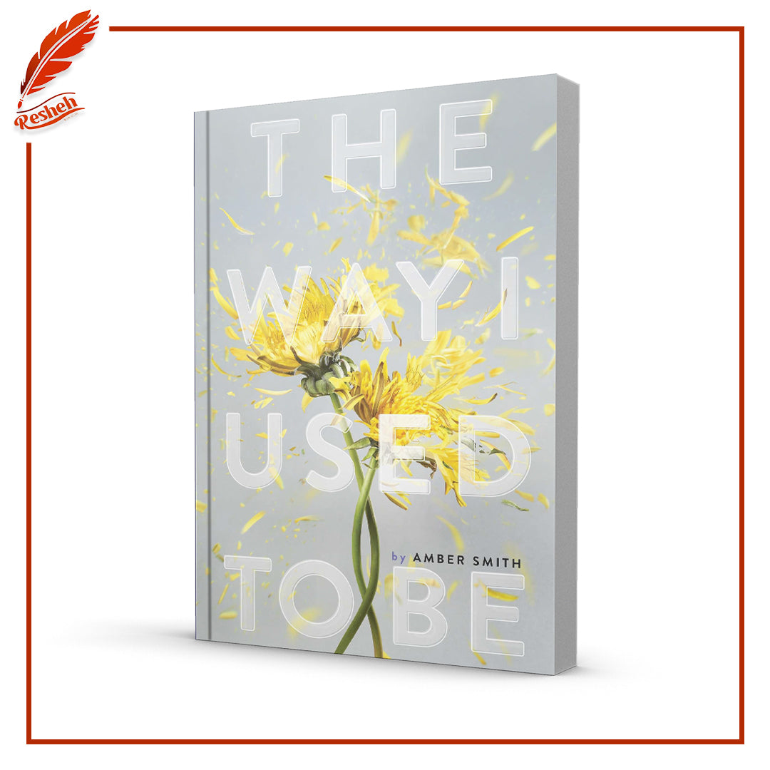 Way I Used To Be by Amber Smith